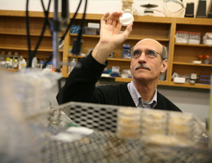 智能问题诊断的在线接收短信验证码