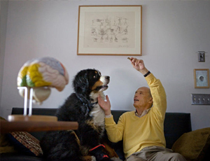 在线轰炸机网页版