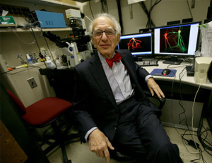 短信网页在线轰炸源码